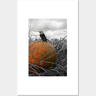 Pumpkin Patch Posters and Art